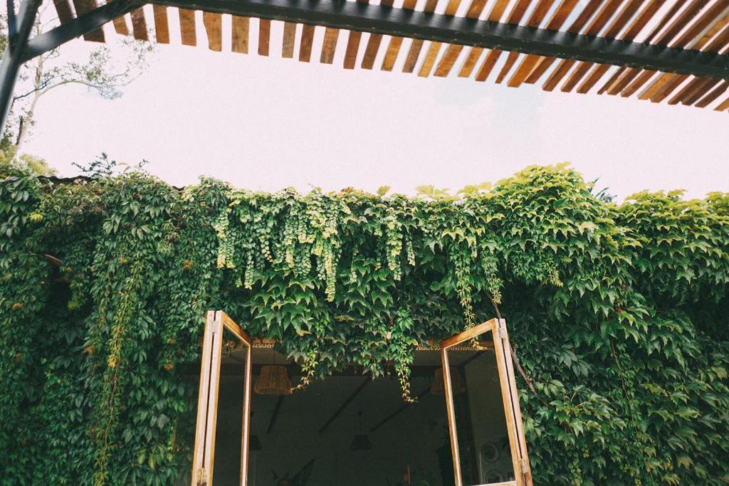 Converted Barn - Tiger House Hermitage Havelock North Exterior foto